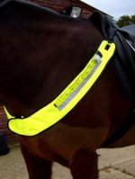 Flashing Horse Bib